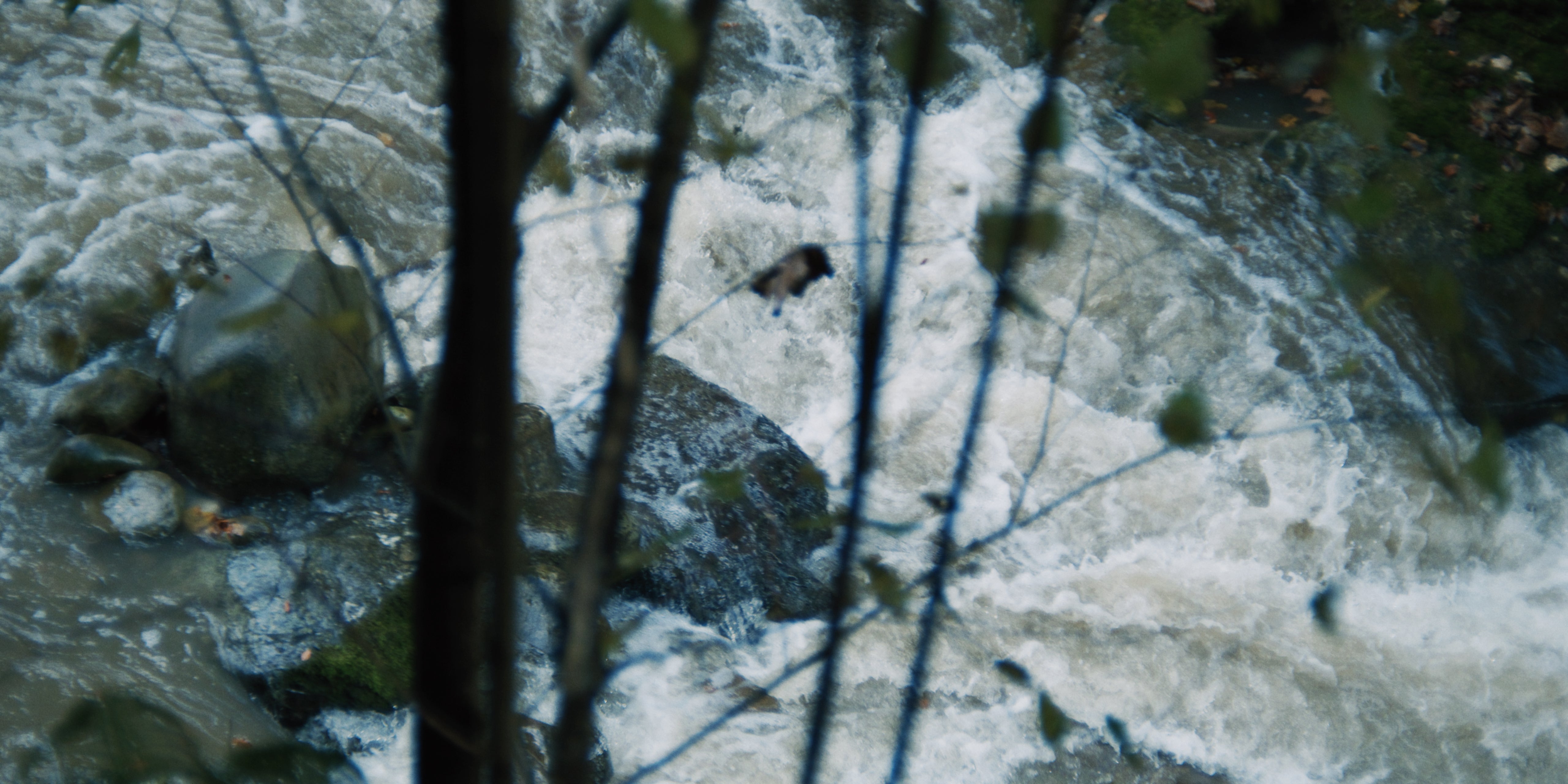Tosender Bergbach in Appenzell Ausserrhoden in der Ostschweiz
