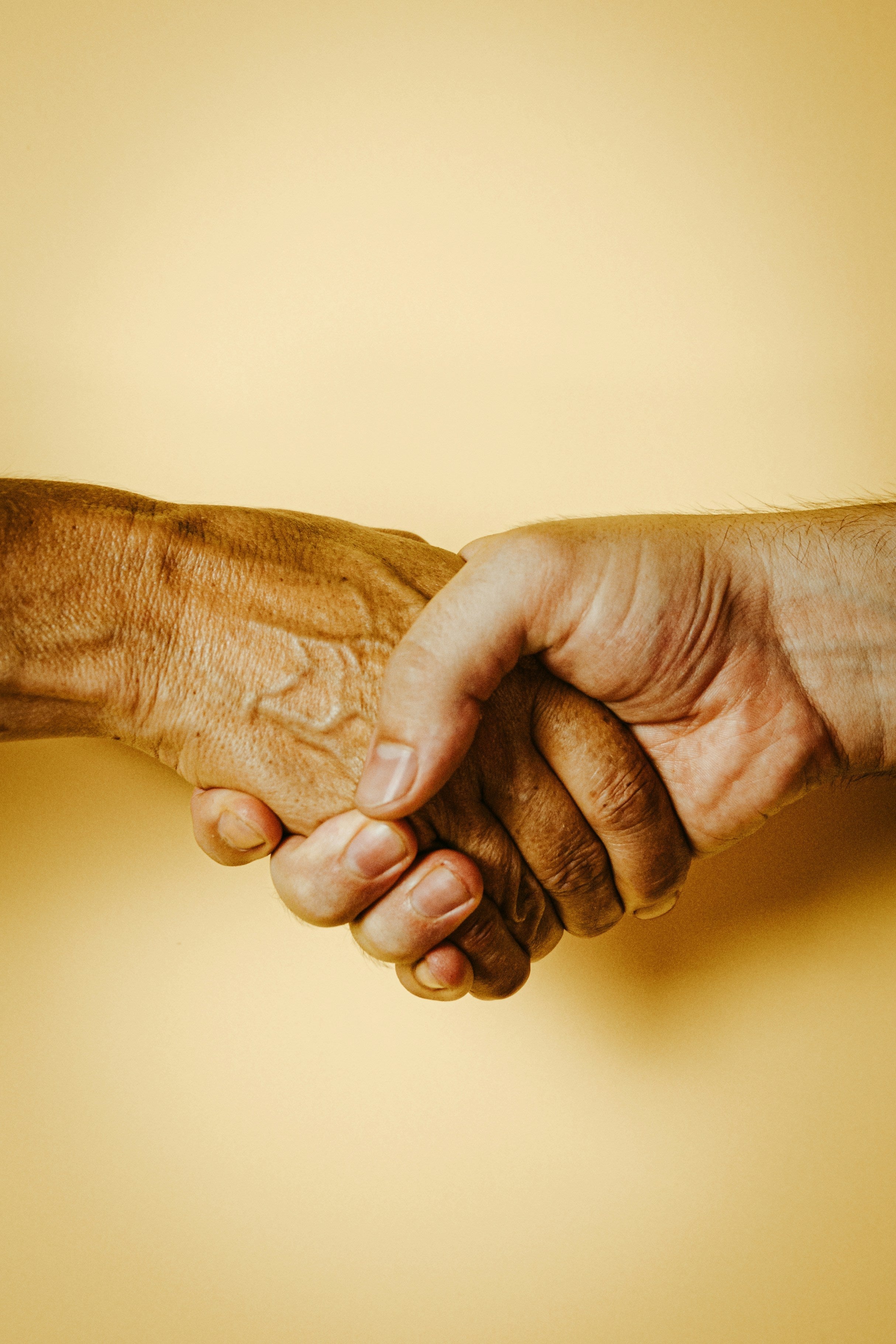 handshake (Photo by A. C. on Unsplash)